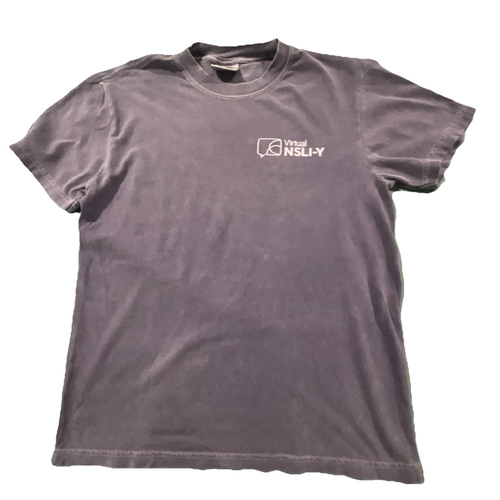 Comfort Colors Purple Virtual NSLI-Y Graphic Men's Short Sleeve T-Shirt Size S